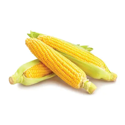 Corn