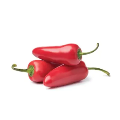 JALAPINO RED