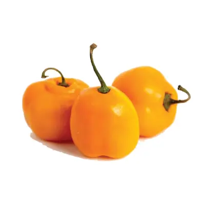 PEPPERS MANZANO