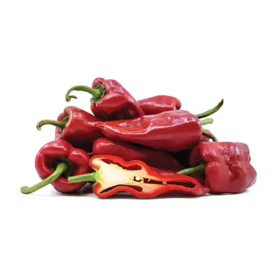  PEPPERS PASILA HOT