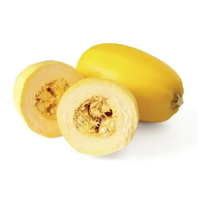 SPAGHETTI SQUASH USA