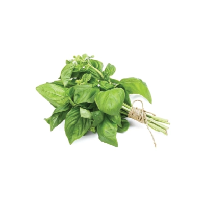 Basil Kenya