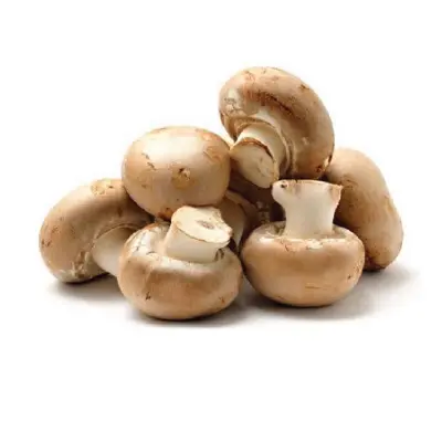 Omani Brown Mushroom