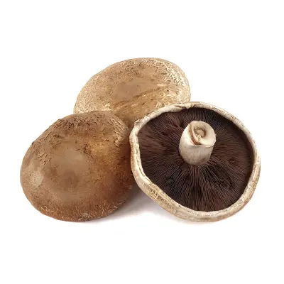 Portabella Mushroom