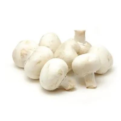 White Button Mushroom