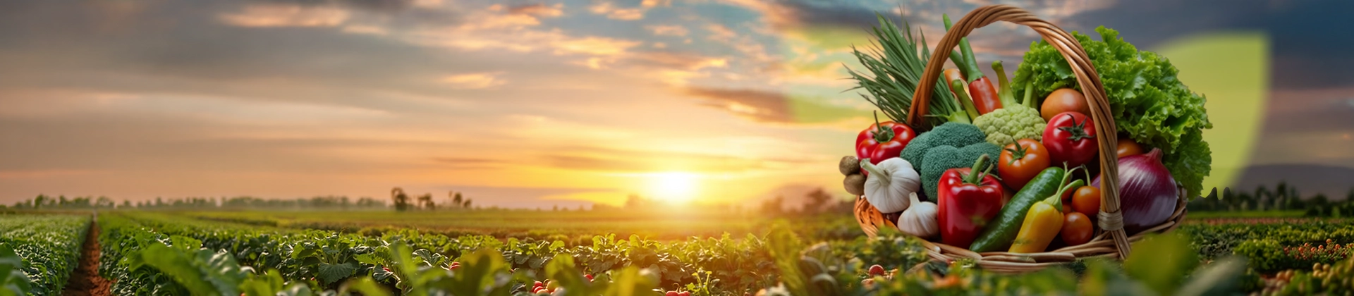 Rooted in Quality, Growing with Trust